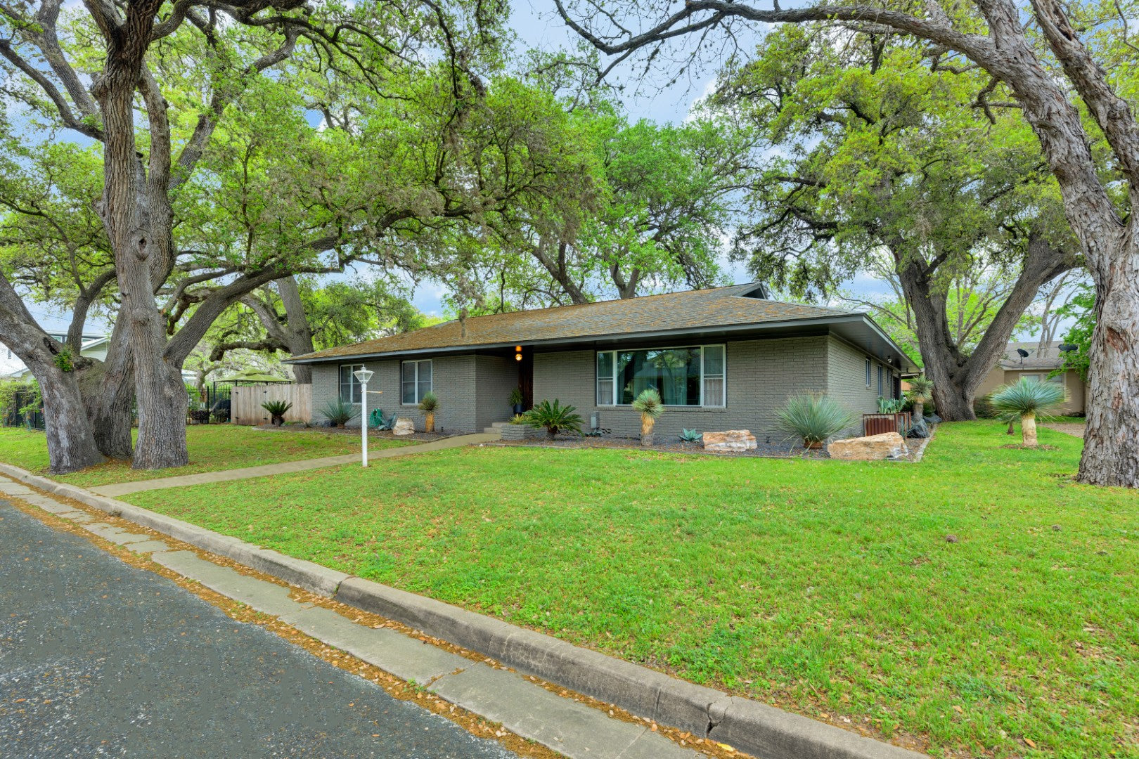 Colossal Oaks on Walnut St | Corner Lot | Downtown