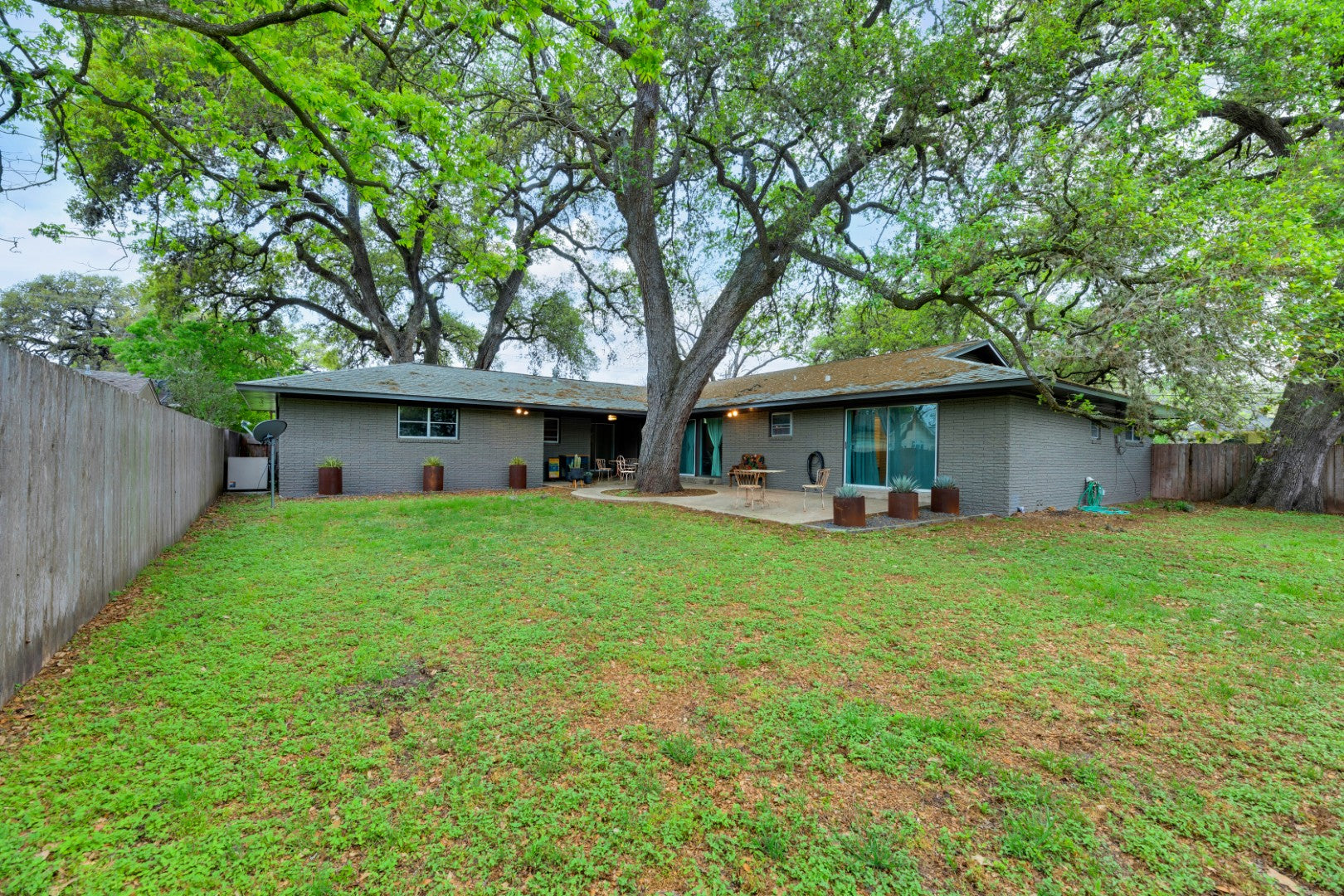Colossal Oaks on Walnut St | Corner Lot | Downtown